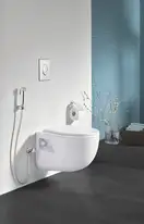 Grohe Tempesta-F Trigger Spray Лійка для душу, хром (27512001)