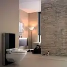 Инсталляция для унитаза Geberit Monolith Premium 131.024.SJ.1 (стекло черное) Geberit AquaClean 8000 высота 101 см (131.024.SJ.1) фото 2 Aquada.com.ua