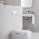 Geberit DELTA 21 смывная клавиша, пластик, хром глянц. (115.125.21.1)