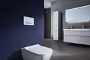 Geberit Sigma 50 Клавіша змиву, біла (115.788.11.2)