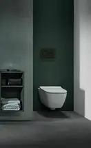 Geberit Sigma 20 Клавіша змиву, чорний матовий (115.882.16.1)