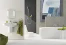Набір аксесуарів 5 в 1 Grohe Essentials New (40344001)