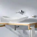 Раковина накладная на столешницу Villeroy & Boch My Nature 61х36 см (411060R1) фото 3 Aquada.com.ua