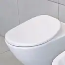 Сиденье для унитаза Flaminia Io IOCW03 белое (IOCW03) фото 1 Aquada.com.ua