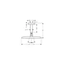 Верхний душ Hansgrohe Raindance E 240 AIR 250х150 см (27380000) фото 2 Aquada.com.ua