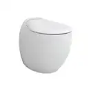 ARTCERAM Унитаз без бачка ArtCeram Blend (BLV002) фото 1 Aquada.com.ua