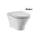 ROCA NEXO Rimless подвесной унитаз с сиденьем slow-closing (в упак.) (A34H64L000) фото 1 Aquada.com.ua
