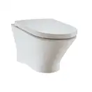 Унітаз підвісний Roca Nexo Clean Rim з кришкою (A34H64L000)