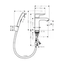 Hansgrohe Mertis Змішувач для раковини з гігієнічним душем, хром (31285000)