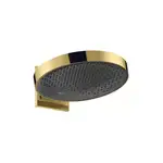Верхний душ Ø 360 мм Hansgrohe Rainfinity, 1 тип струи (цвет - полированное золото) (26230990)