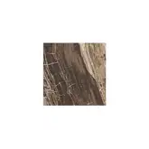 Rex Ceramiche Плитка декор I MARMI REX MARBLE BROWN 4,6X80 4,6X80 (747873)