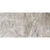 Плитка настенная Fiandre Marble Lab Quarzo Greige 60 х 30 см Semilucidato (AS196X836)