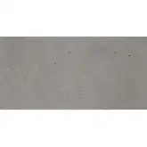Керамическая плитка Fiandre Fjord Grey 60 х 30 см Semilucidato 11 мм (AS209X1136R10)