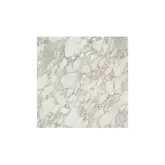 Керамогранит REX CERAMICHE REX MAGNUM I Bianchi Calacatta Lucido 120X120 (744206)