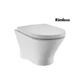 Унітаз підвісний Roca Nexo Clean Rim з кришкою (A34H64L000)