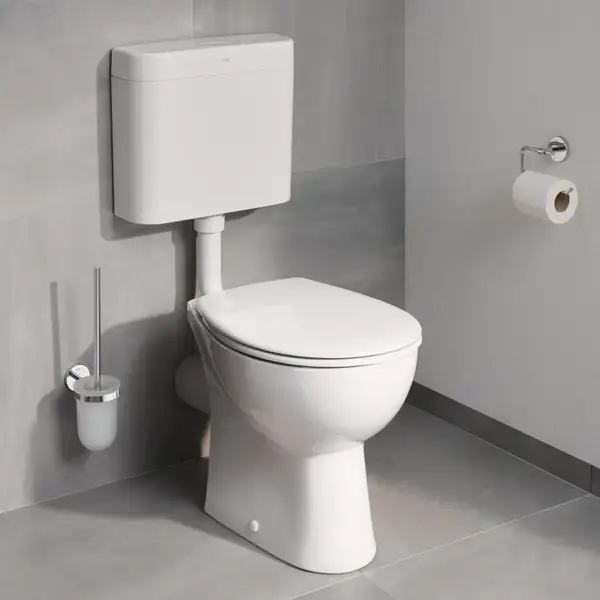 Йорж для унітазу Grohe Bau Cosmopolitan Neutral (40463001)