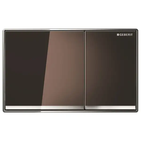 Смывная клавиша Geberit Omega60, двойной смыв (стекло умбра) (115.081.SQ.1) фото 1 Aquada.com.ua