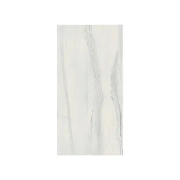 Керамогранит REX CERAMICHE REX MAGNUM I Bianchi Palissandro Lucido 120X240 (744209) фото 1 Aquada.com.ua