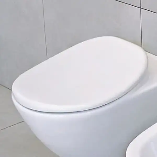 Сиденье для унитаза Flaminia Io IOCW03 белое (IOCW03) фото 1 Aquada.com.ua