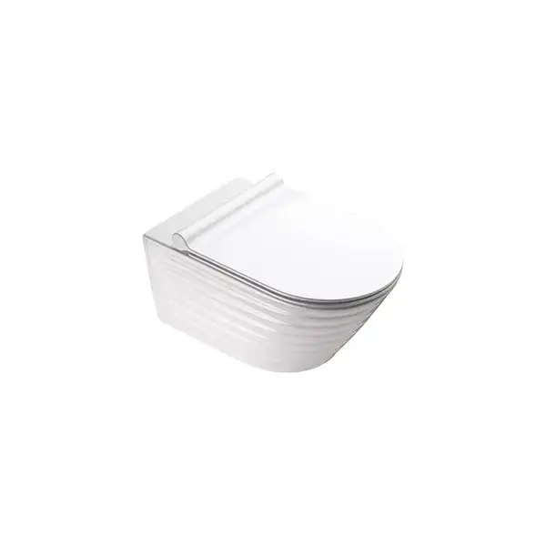 Унитаз без ободка Newflush Catalano Premium с сиденьем Soft Close (1VS55RZE00+5SCSTP000) фото 1 Aquada.com.ua