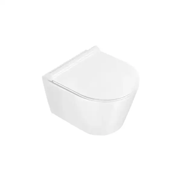 Унитаз подвесной Catalano New Zero с сиденьем Soft Close NewFlush (безободковый) (1VSZ46R00+5V45STP00) фото 1 Aquada.com.ua