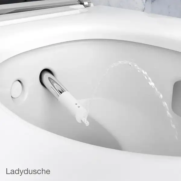Унитаз подвесной Geberit AquaClean Mera Comfort хром (146.214.21.1) фото 5 Aquada.com.ua