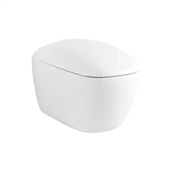 Унитаз подвесной Rimfree (безободковый) Geberit Citterio, с сиденьем Soft Close (500.510.01.1+500.540.01.1) фото 1 Aquada.com.ua