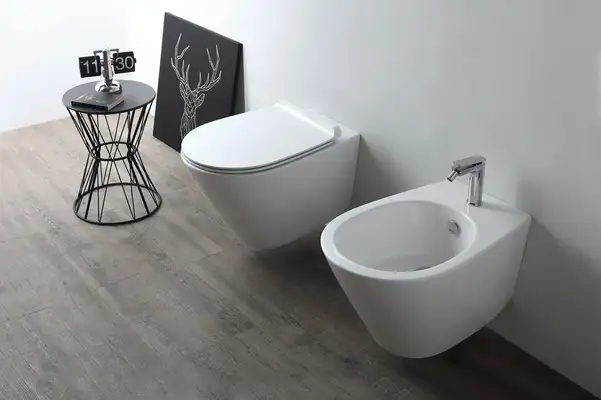 Унитаз подвесной Simas Gambassi с сиденьем Soft Close, белый матовый (GA18BM+GA004BM+F85) фото 4 Aquada.com.ua