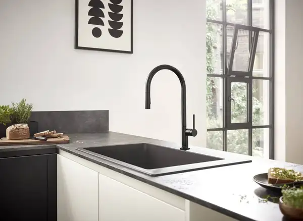 Смеситель для кухни Hansgrohe Talis M54 210 (цвет - чёрный матовый), с вытяжным душем (72801670) фото 2 Aquada.com.ua