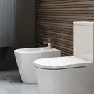 Roca Біде підлогове Inspira Round 56х37 (A357527000)