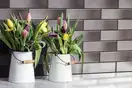 Підвіконник Grafit GLAZED 13,5x24,5x1,3 код 1694 Cerrad (5903263441694)