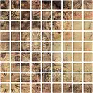Мозаїка Ottavio Glass 250x250x9 Konskie (5901549844689)