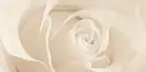OPOCZNO Декор Effecta Beige 29,7x60 код 6662 Опочно (TDZZ1058232636)