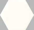 Декор Uniwersalny Heksagon White STR 171x198x9 Paradyz (SS--198X171-1-UNIW.WH)
