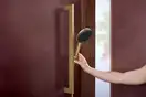 Hansgrohe Raindance Alive S Ecosmart, шлифованная бронза (24600140)