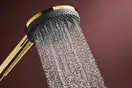 Hansgrohe Raindance S 3Jet Душевой гарнитур, Gold (24611990)