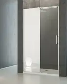 Душові двері Esperа DWJ Mirror 100 L RADAWAY (380110-71L)