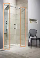Radaway Espera DWD Душова стінка, хром/прозоре (380228-01)
