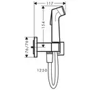 Hansgrohe Bidette 1jet E Гігієнічний душ, чорний хром (29233340)