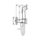 Hansgrohe Bidette 1jet E Гігієнічний душ, чорний матовий (29233670)