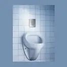 Накладна панель змиву для пісуара GROHE Skate Cosmopolitan (38784SD0)