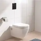 Grohe Even Кнопка смыва, черная матовая (38966KF0)