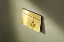 HANSGROHE iFrame E Клавиша смыва, Polished Gold (66003990)