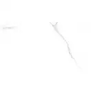 Настенная плитка Almera Ceramica Palmira Blanco 30 х 60 см 396124