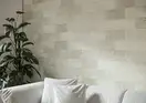 Cerrad Saltstone Фасадний камінь Bianco (5902510809348)