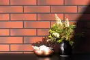 Cerrad Rot Плитка фасадная, красно-коричневая (9546) (5903263449546)