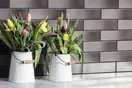 CERRAD Grafit GLAZED Плитка фасадная, графит (5903263449867)