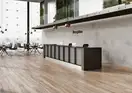 Cerrad Concrete Gris RECT Плитка керамогранитная, серая (5903313303484)