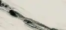 Плитка керамогранітна PAN WH6 12 LP LAP 600x1200x6,5 Imola