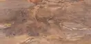 OPOCZNO Elega Brown Плитка стінова, коричнева (TWZZ1096192944)